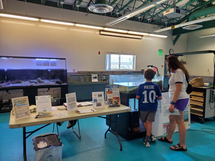 Back Bay Science Center, Newport Beach, California, August 4, 2024