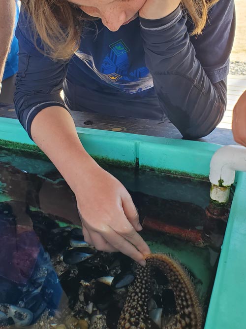 Touch Tank, Back Bay Science Center, Newport Beach, California, August 4, 2024