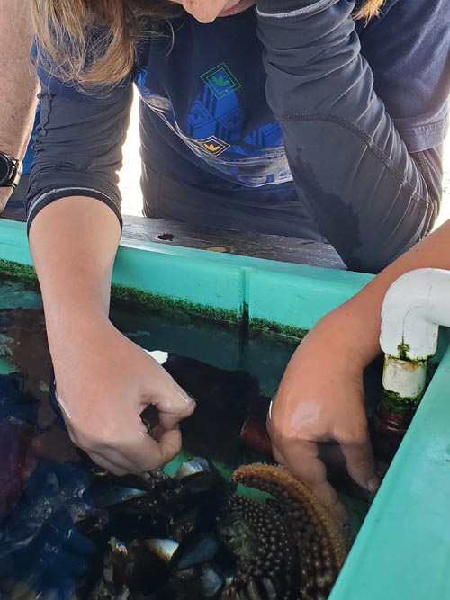 Touch Tank, Back Bay Science Center, Newport Beach, California, August 4, 2024