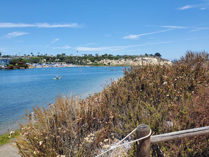 Newport Bay From Back Bay Science Center, Newport Beach, California, August 4, 2024