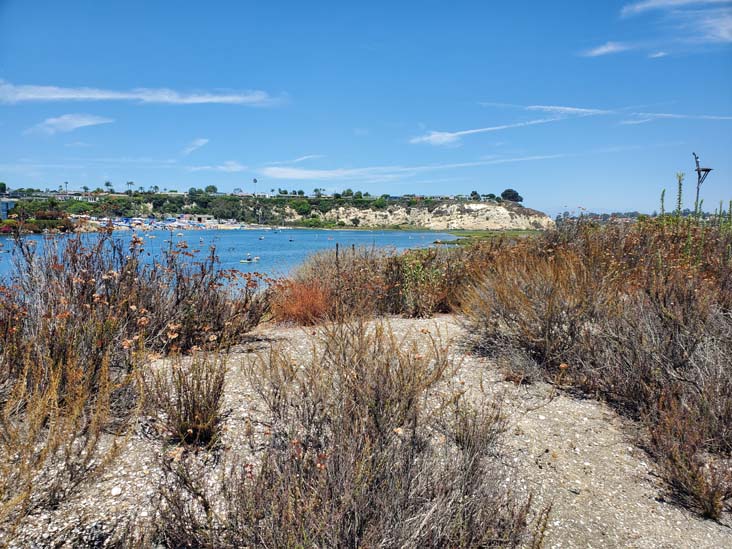 Newport Bay From Back Bay Science Center, Newport Beach, California, August 4, 2024