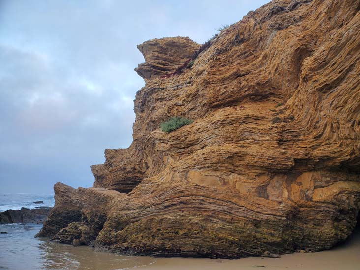 Crystal Cove State Park, Newport Coast, California, July 30, 2024