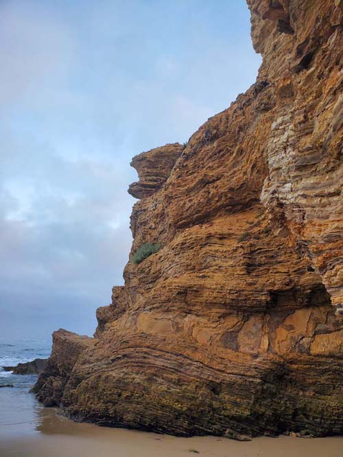 Crystal Cove State Park, Newport Coast, California, July 30, 2024