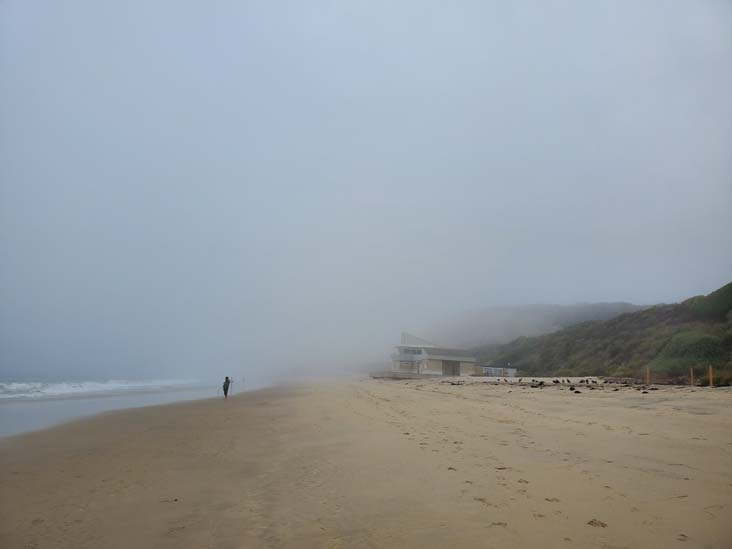 Crystal Cove State Park, Newport Coast, California, August 4, 2024