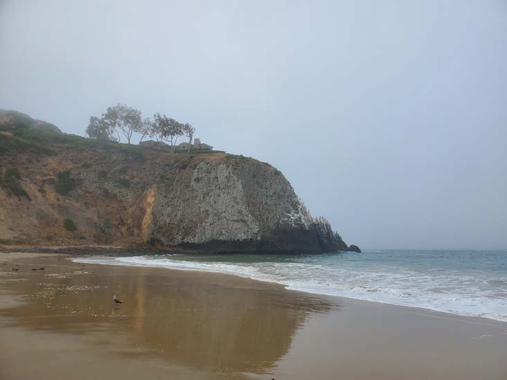 Crystal Cove State Park, Newport Coast, California, August 4, 2024