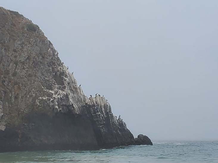 Crystal Cove State Park, Newport Coast, California, August 4, 2024