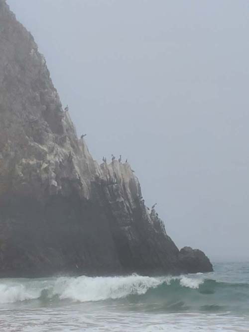 Crystal Cove State Park, Newport Coast, California, August 4, 2024