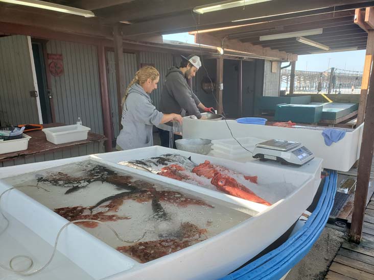 Voyatzis Stall, Dory Fleet Fish Market, 2111 West Oceanfront, Newport Beach, California, August 2, 2024