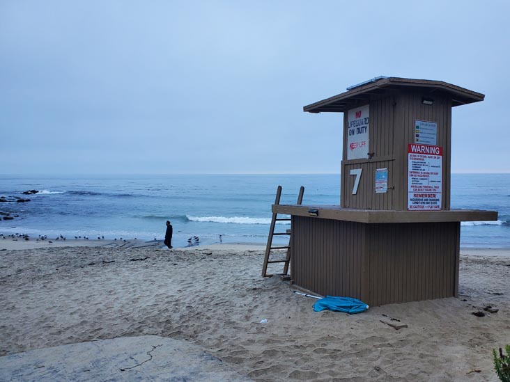 Little Corona del Mar Beach, Corona del Mar, California, August 1, 2024