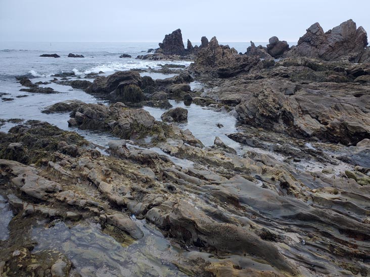 Little Corona del Mar Beach, Corona del Mar, California, August 1, 2024