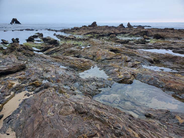 Little Corona del Mar Beach, Corona del Mar, California, August 1, 2024