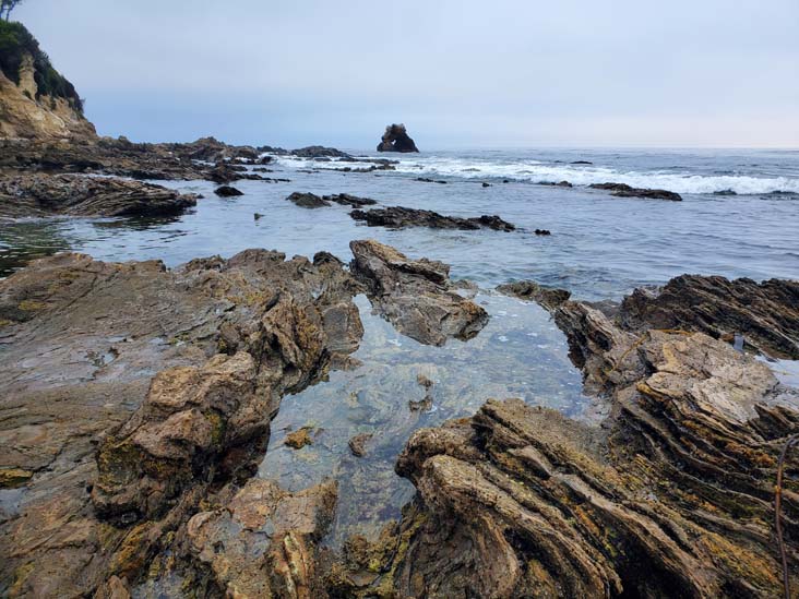 Little Corona del Mar Beach, Corona del Mar, California, August 1, 2024