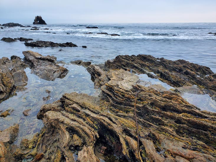 Little Corona del Mar Beach, Corona del Mar, California, August 1, 2024