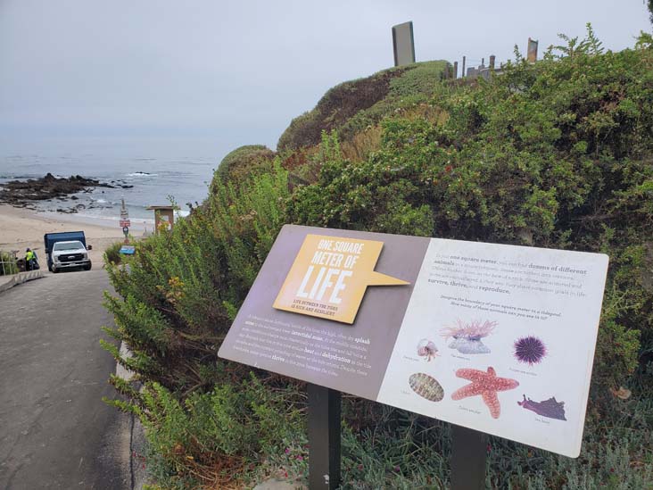 Little Corona del Mar Beach, Corona del Mar, California, August 1, 2024