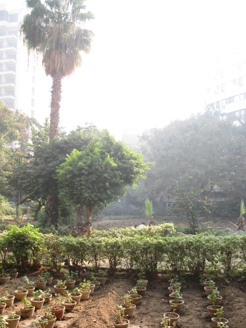 Port Said Square, Mohandeseen, Cairo, Egypt