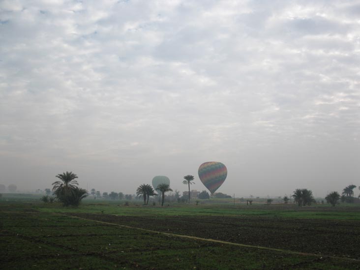 Hot-Air Balloons Near Colossi of Memnon, West Bank, Luxor, Egypt