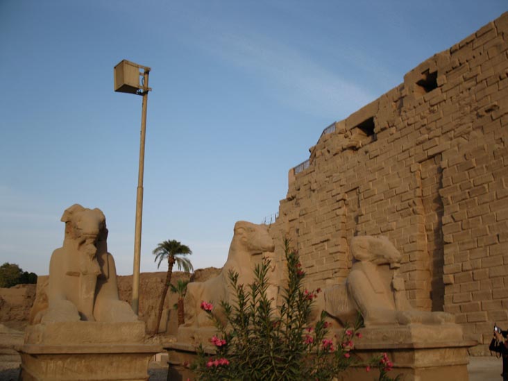 Sphinxes and First Pylon, Temple of Amun, Karnak Temple Complex, Luxor, Egypt