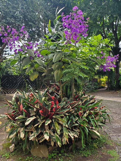 El Jardín De Celeste, Concepción de Ataco, El Salvador, August 9, 2024