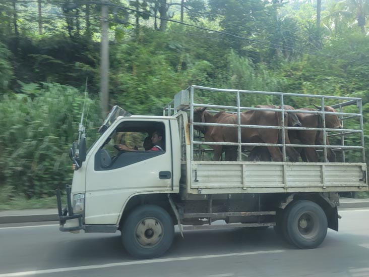 Autopista Comalapa, El Salvador, August 17, 2024