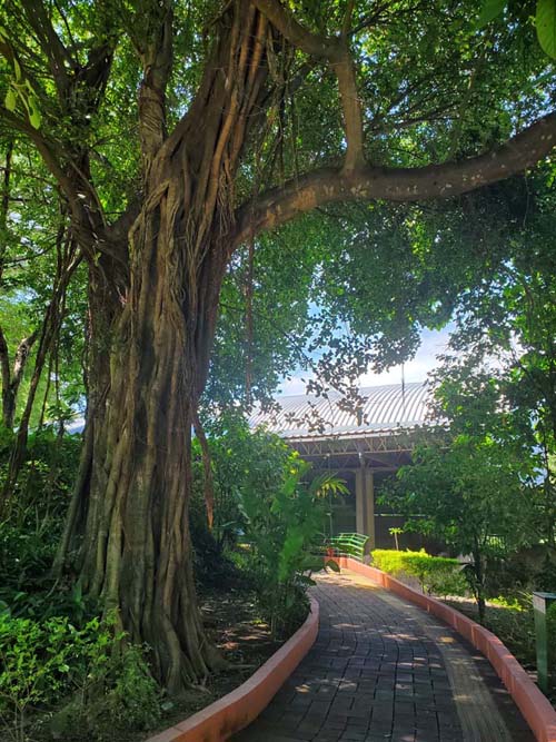 Parque Arqueológico Joya de Cerén, El Salvador, August 14, 2024