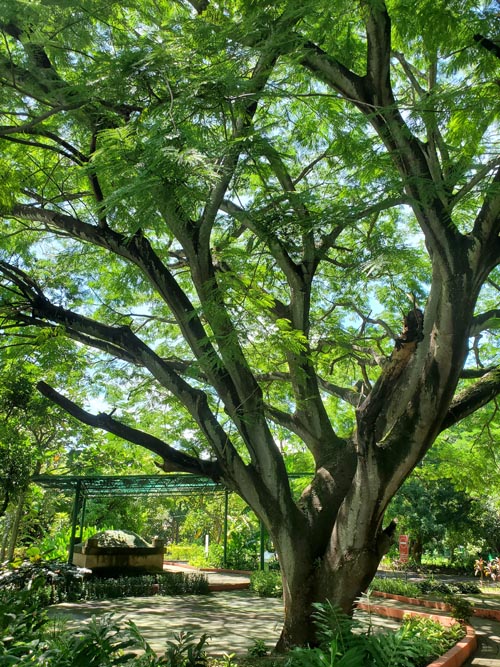 Parque Arqueológico Joya de Cerén, El Salvador, August 14, 2024