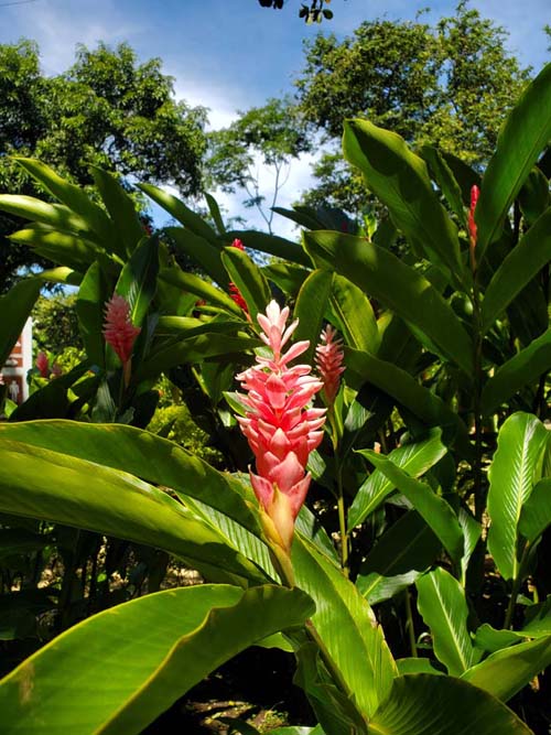 Parque Arqueológico Joya de Cerén, El Salvador, August 14, 2024