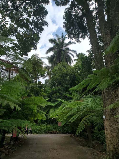 Jardín Botánico La Laguna, San Salvador, El Salvador, August 16, 2024