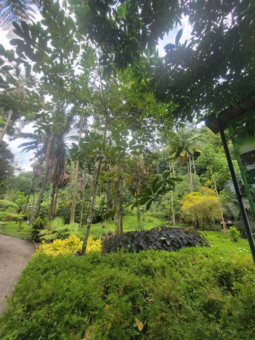 Jardín Botánico La Laguna, San Salvador, El Salvador, August 16, 2024