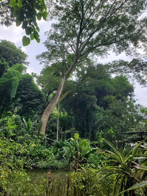 Jardín Botánico La Laguna, San Salvador, El Salvador, August 16, 2024