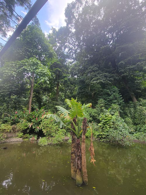 Jardín Botánico La Laguna, San Salvador, El Salvador, August 16, 2024