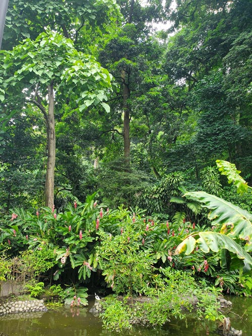 Jardín Botánico La Laguna, San Salvador, El Salvador, August 16, 2024