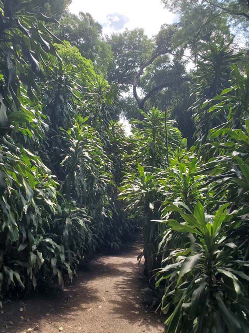 Jardín Botánico La Laguna, San Salvador, El Salvador, August 16, 2024