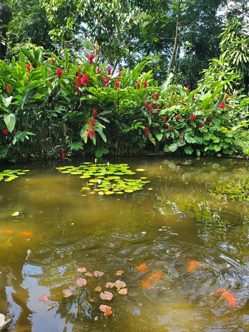 Jardín Botánico La Laguna, San Salvador, El Salvador, August 16, 2024