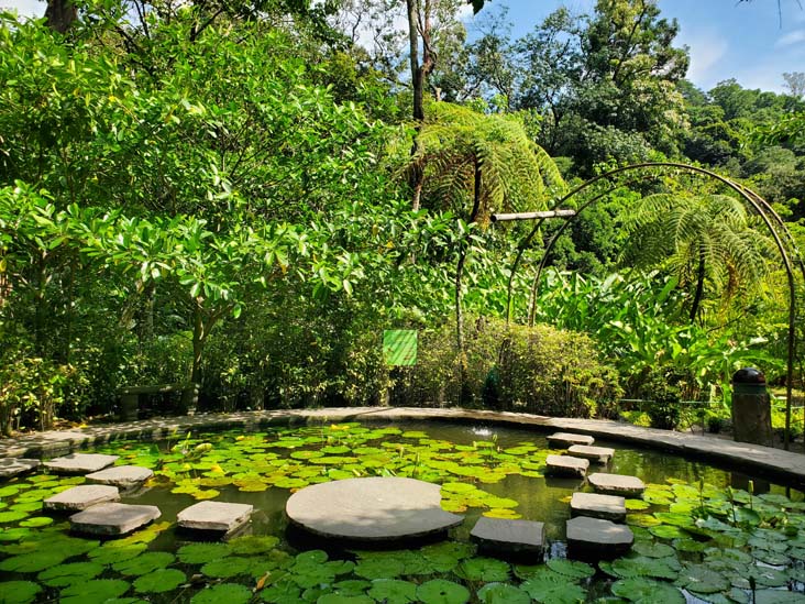 Jardín Botánico La Laguna, San Salvador, El Salvador, August 16, 2024