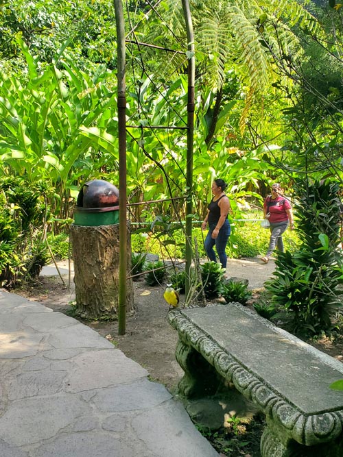 Jardín Botánico La Laguna, San Salvador, El Salvador, August 16, 2024