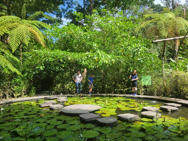 Jardín Botánico La Laguna, San Salvador, El Salvador, August 16, 2024