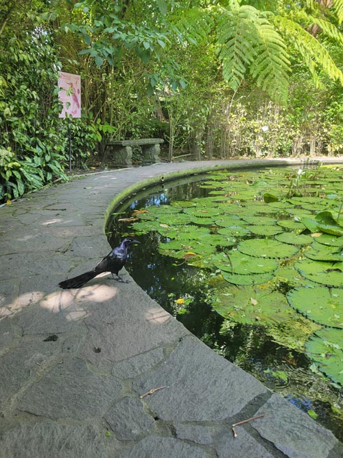 Jardín Botánico La Laguna, San Salvador, El Salvador, August 16, 2024