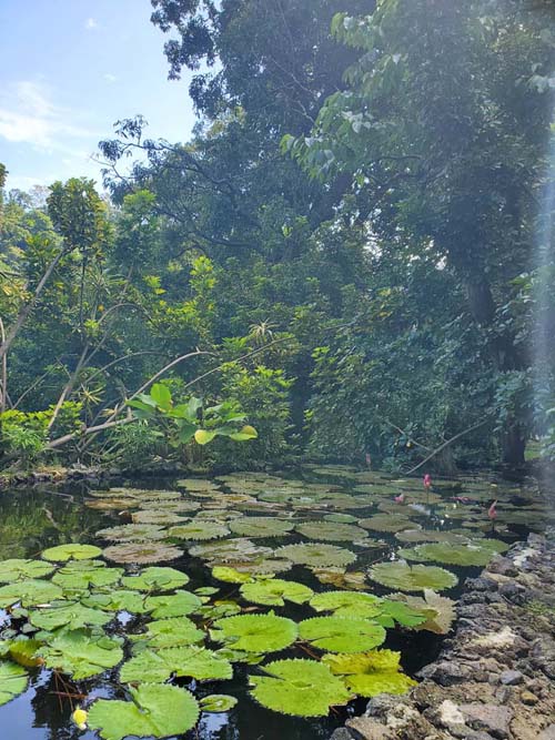 Jardín Botánico La Laguna, San Salvador, El Salvador, August 16, 2024