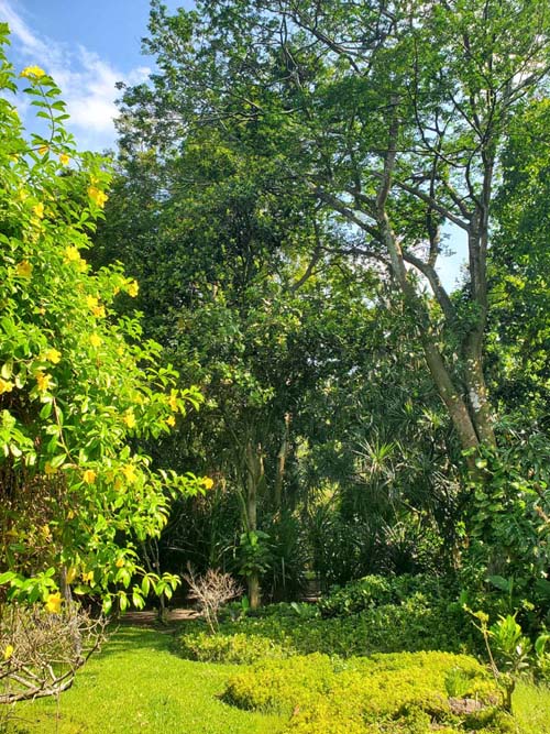 Jardín Botánico La Laguna, San Salvador, El Salvador, August 16, 2024