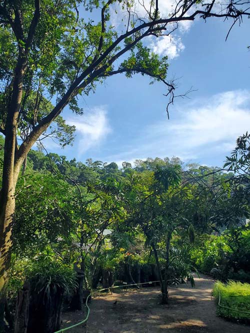 Jardín Botánico La Laguna, San Salvador, El Salvador, August 16, 2024