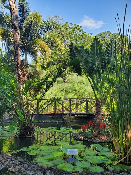 Jardín Botánico La Laguna, San Salvador, El Salvador, August 16, 2024