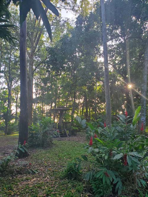 Parque Maquilishuat, San Salvador, El Salvador, August 16, 2024