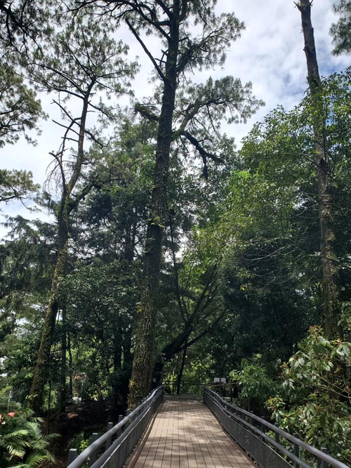 Parque Nacional El Boquerón, San Salvador Volcano, El Salvador, August 8, 2024