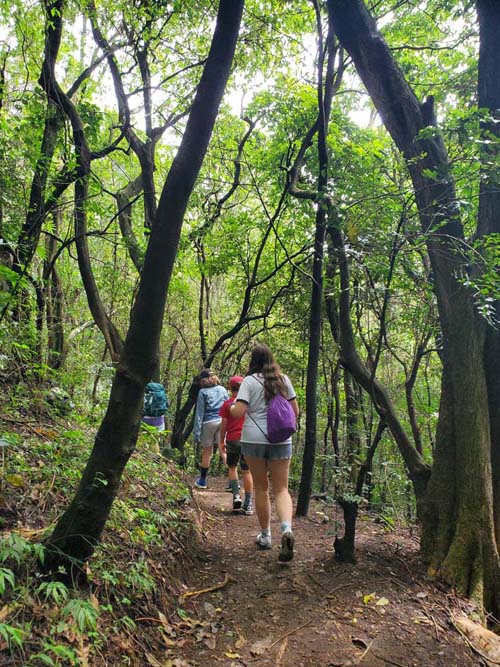 Trail to Crater Trailhead, Volcán de Santa Ana/Santa Ana Volcano, El Salvador, August 9, 2024