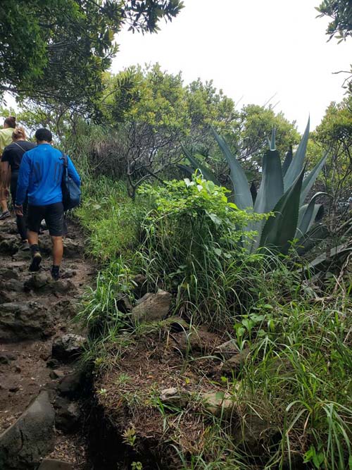 Crater Trail, Volcán de Santa Ana/Santa Ana Volcano, El Salvador, August 9, 2024