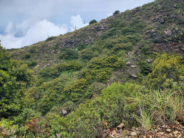 Crater Trail, Volcán de Santa Ana/Santa Ana Volcano, El Salvador, August 9, 2024