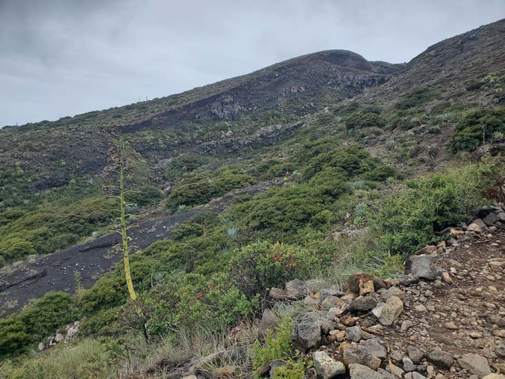 Crater Trail, Volcán de Santa Ana/Santa Ana Volcano, El Salvador, August 9, 2024