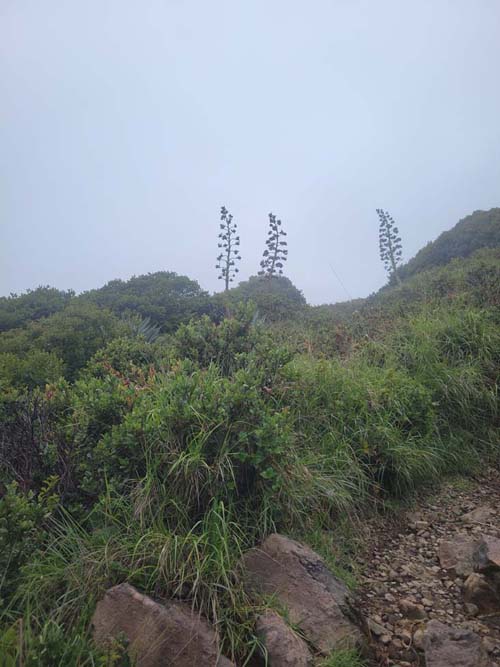 Crater Trail, Volcán de Santa Ana/Santa Ana Volcano, El Salvador, August 9, 2024