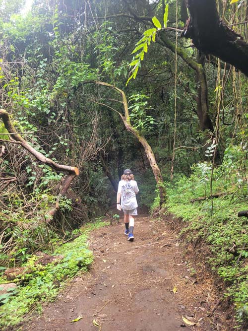 Trail, Volcán de Santa Ana/Santa Ana Volcano, El Salvador, August 9, 2024