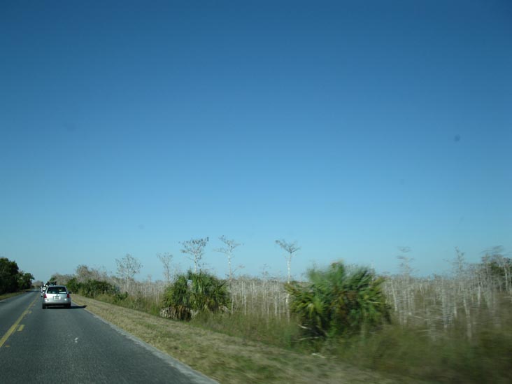 Main Park Road, Everglades National Park, Florida